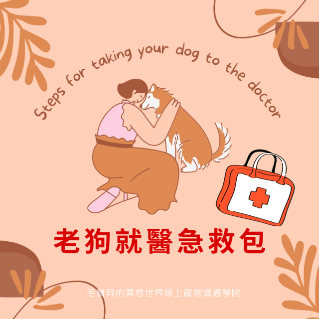 Cora心靈創意實驗室_寵物溝通講座_寵物急救包