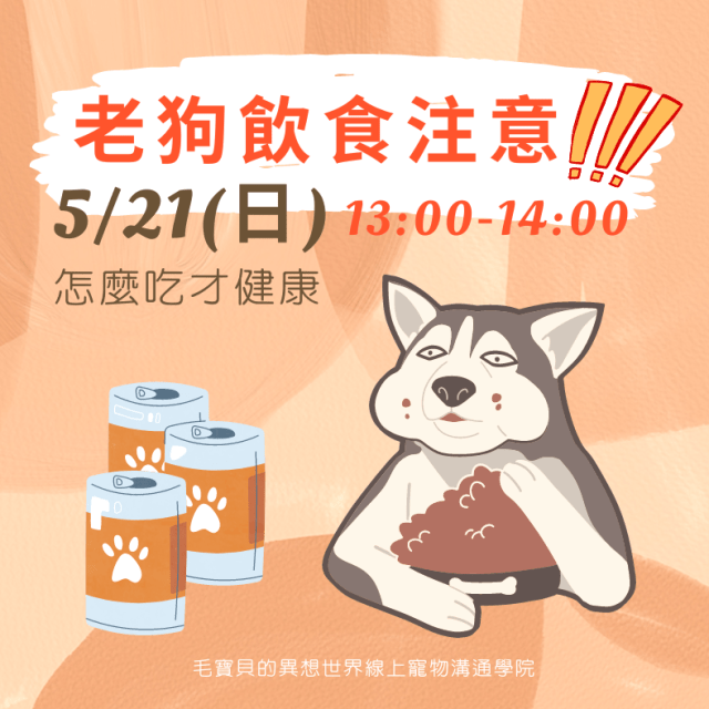 Cora心靈創意實驗室_寵物溝通講座_老狗飲食